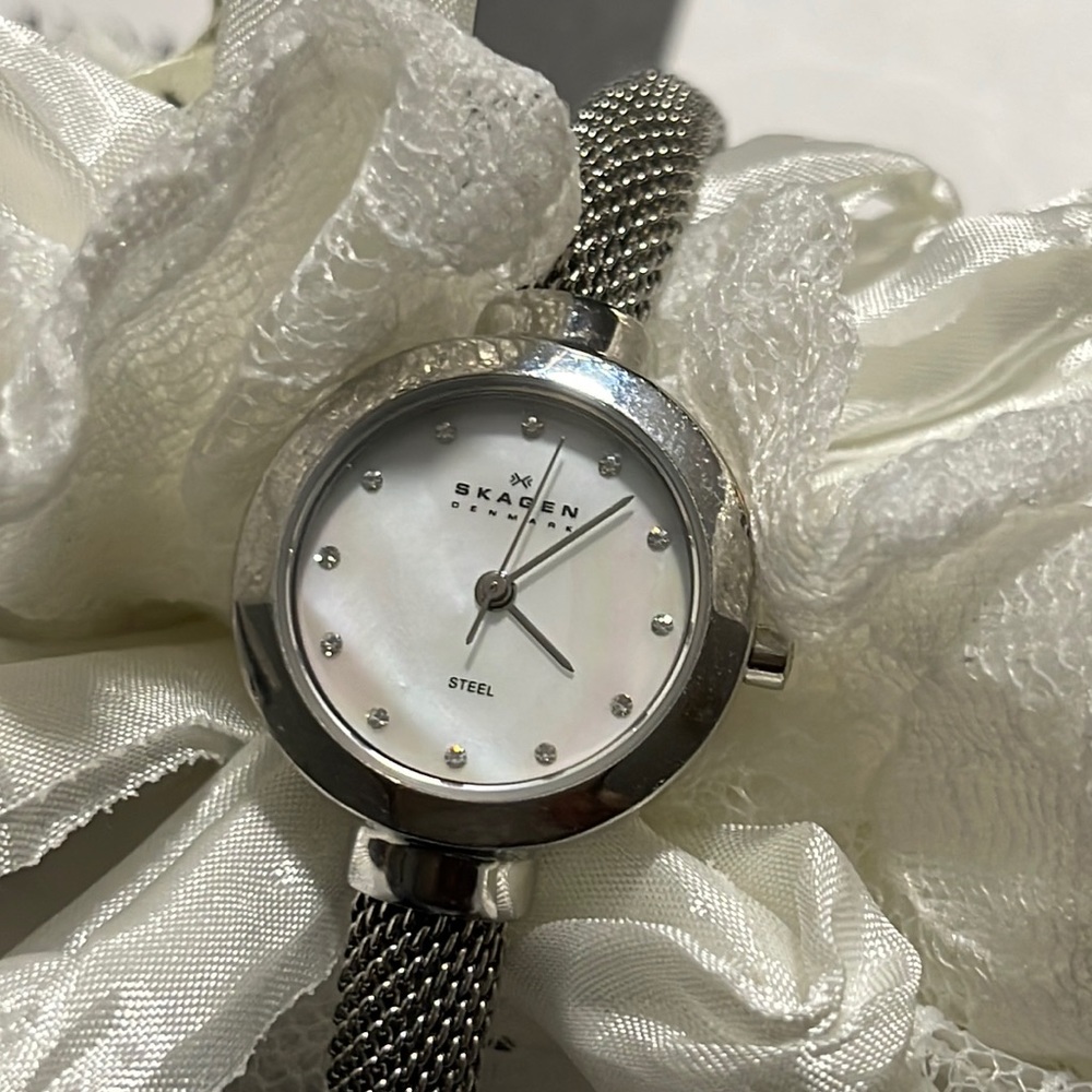 Skagen Stainless Steel Mesh Bangle Watch